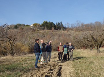 visite des vergers