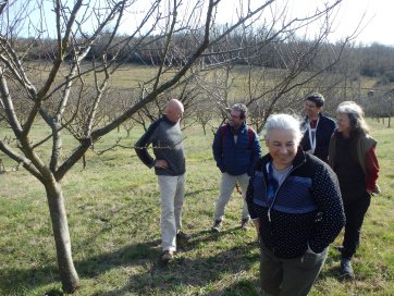 explications des producteurs